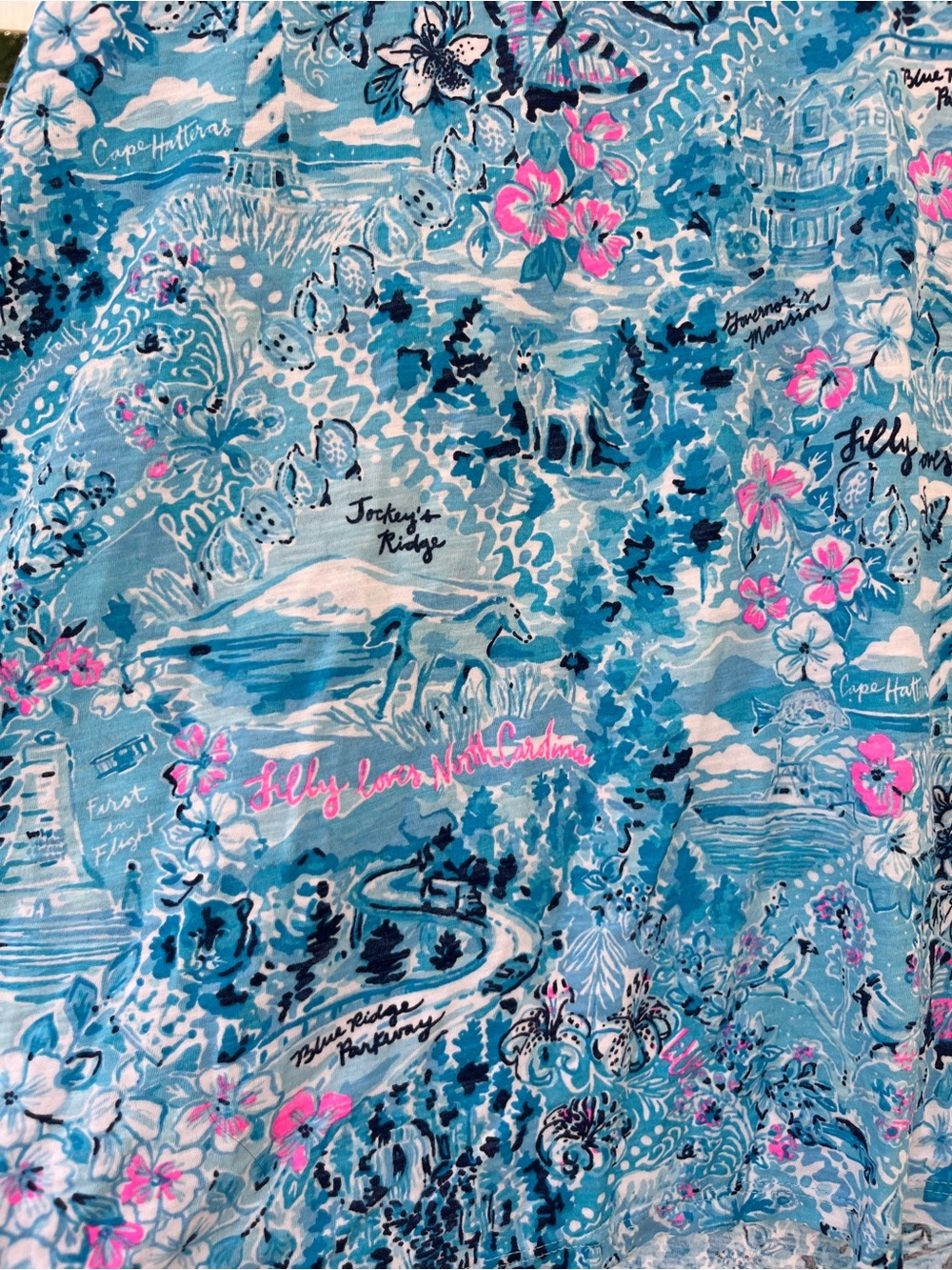 Lilly Pulitzer Etta V-Neck Top Blue Peri Lilly Loves North Carolina Sz XXL - Picture 3 of 10